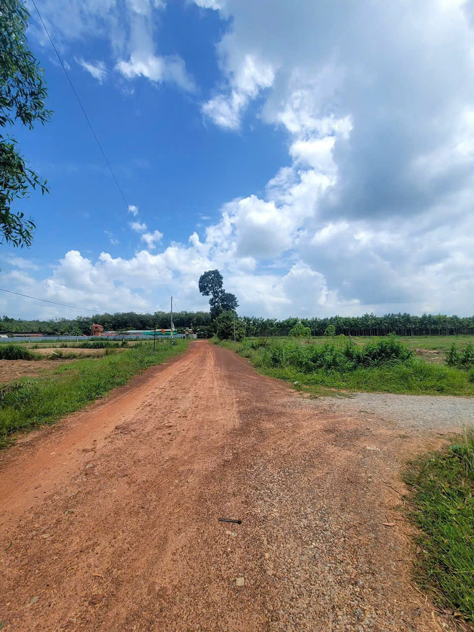 BÁN 9.661M2 ĐẤT CHÁNH PHÚ HÒA, BÌNH DƯƠNG 16 TỶ