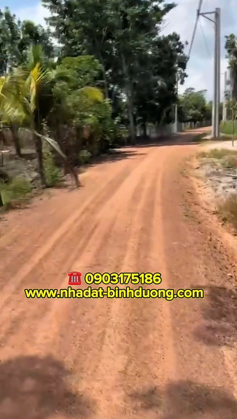 BÁN ĐẤT 5.185,9M2 ĐẤT CLN MINH THẠNH, DẦU TIẾNG, BÌNH DƯƠNG 2,280 TỶ