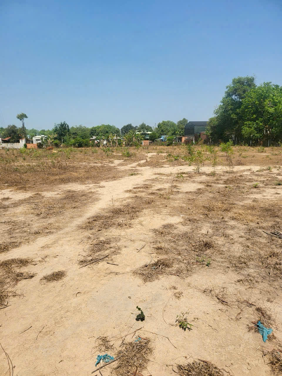 BÁN 10.482M2, 400M2 THỔ CƯ TẠO PHÚ AN, TP HCM 45 TỶ