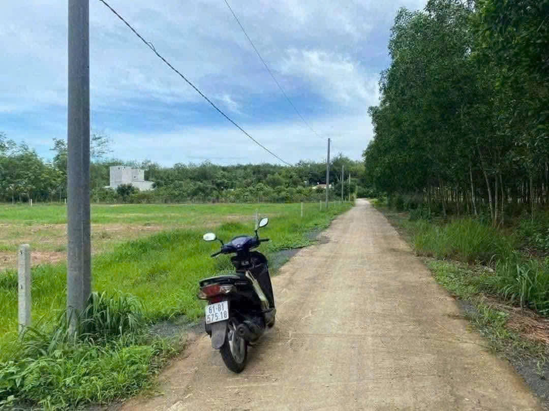 BÁN 1.274M2, 500M2 THỔ CƯ TẠI MINH TÂN, DẦU TIẾNG, BÌNH DƯƠNG 1,42 TỶ
