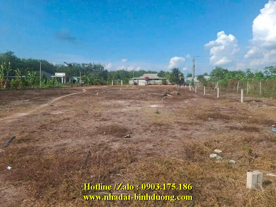 TỔNG HỢP NGUỒN ĐẤT TÂY NINH 115M2 - 150m2 - 175M2 GIÁ CHỈ TỪ 270 TRIỆU/ NỀN