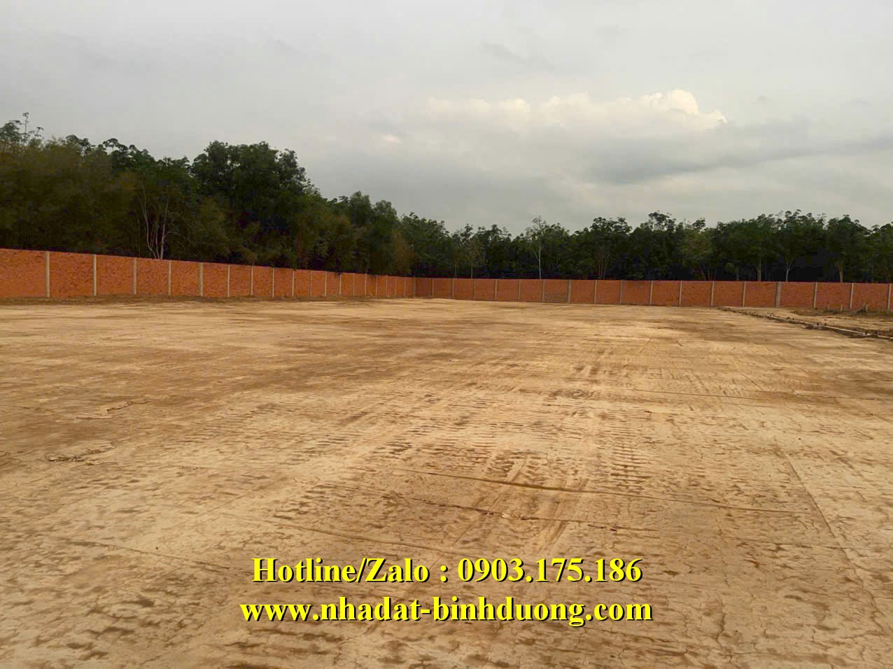 ĐẤT 900M2 SKC LONG NGUYÊN - BÀU BÀNG - BÌNH DƯƠNG