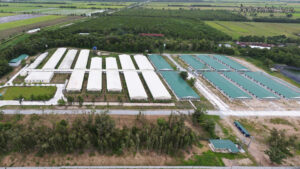 Chuyển Nhượng Dự Án Trại Chăn Nuôi Heo 50ha – Đắk Lắk
