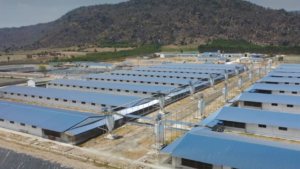 Chuyển Nhượng Trang Trại Heo 14.5ha – Gia Lai