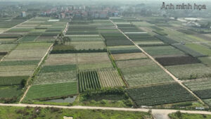 Cần Bán Gần 2.2ha Đất Quy Hoạch KCN – Vĩnh Cửu, Đồng Nai
