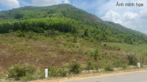 Cần Bán Hơn 1.8ha Đất Mặt Đường DT5 – Khánh Hòa