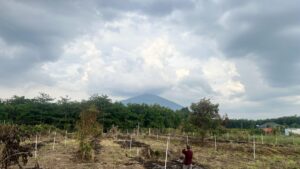 Cần Bán Hơn 11.000m² Đất Quy Hoạch Đất Ở – View Núi – Tây Ninh
