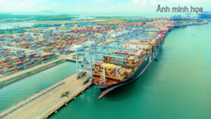 Chuyển Nhượng Cảng Logistics 31Ha Gần Cảng Cái Mép – Vũng Tàu