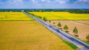 Chuyển Nhượng Đất Nông Nghiệp Công Nghệ Cao Hơn 270Ha – Pháp Lý Chuẩn – Hậu Giang