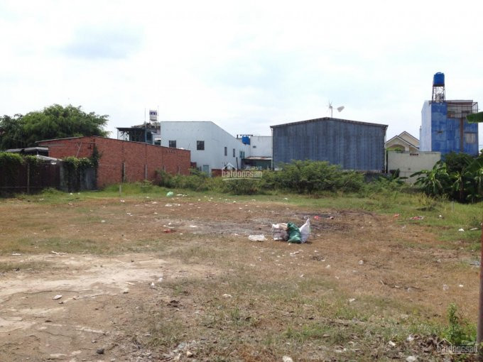 Cần Bán Gần 6.000m2 Đất Có Thổ Đường 6m – Nhơn Trạch Đồng Nai