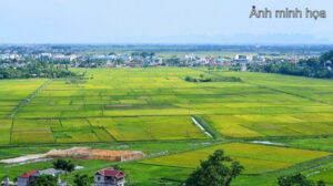 Cần Bán Gần 1ha Đất Mặt Tiền QL Gần KCN Giao Long – Bến Tre
